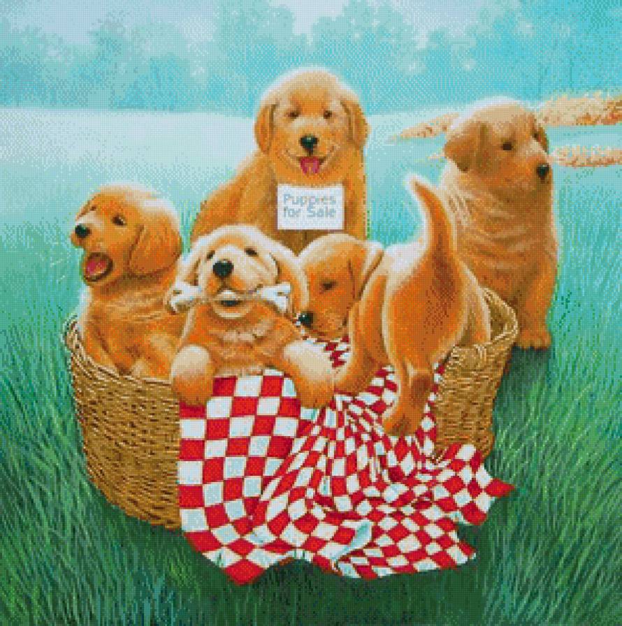 песики - собака, песик, щенок, щенки, животные, собачки, собаки - предпросмотр