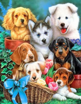 собачки - песик, животные, собачки, собака, щенки, собаки, щенок - оригинал