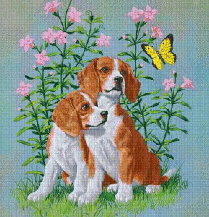 собачки - щенки, песик, собаки, собачки, животные, собака, щенок - предпросмотр