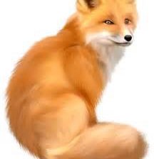 Схема вышивки «лиса2»