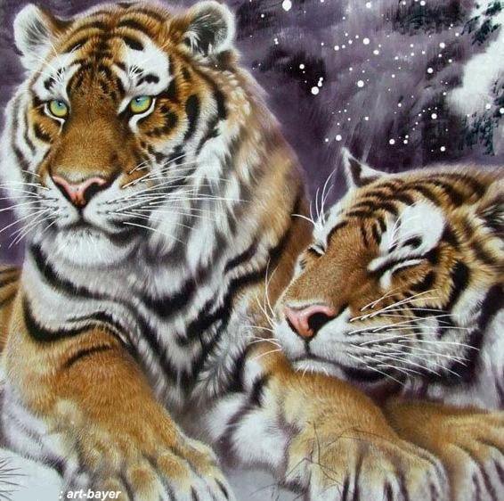 Тигринная любовь! - животные, тигры, любовь - оригинал