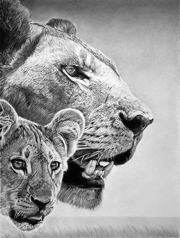 лев - животные - оригинал