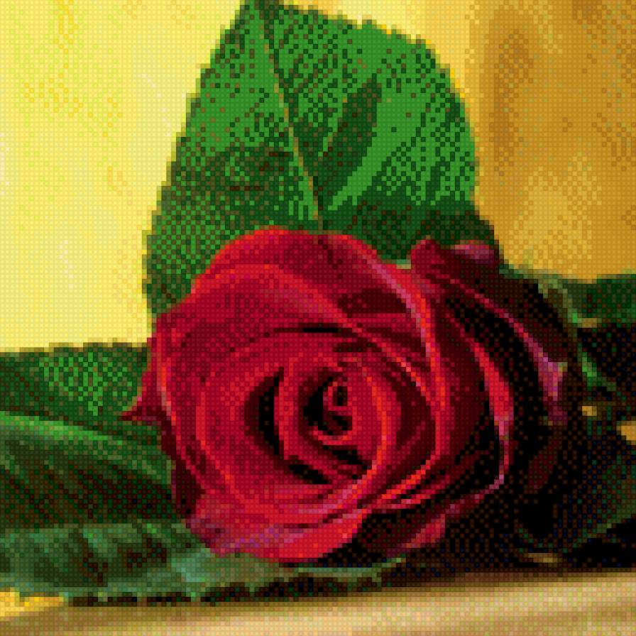 цветы - роза - предпросмотр