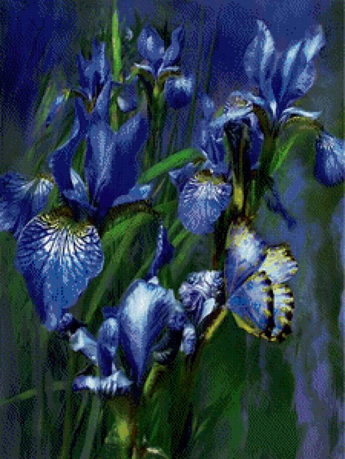 ирисы - цветы - предпросмотр