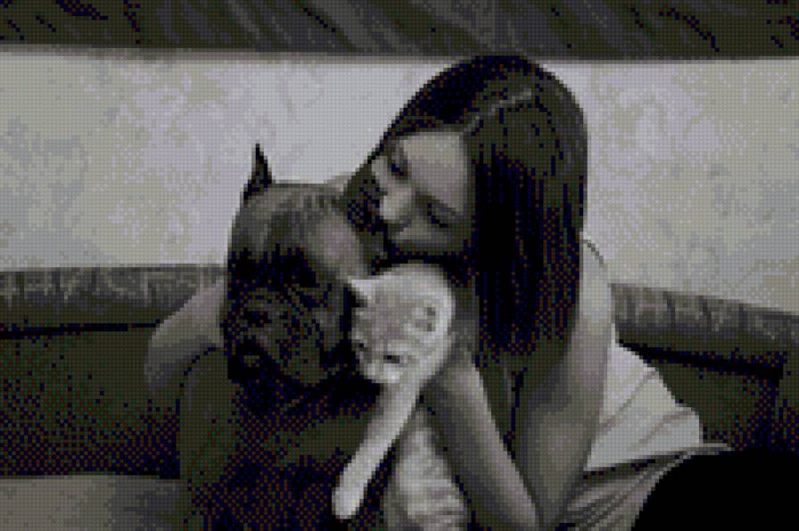 наша дружба - предпросмотр