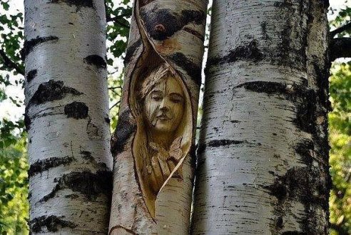 Природа - пейзаж - оригинал