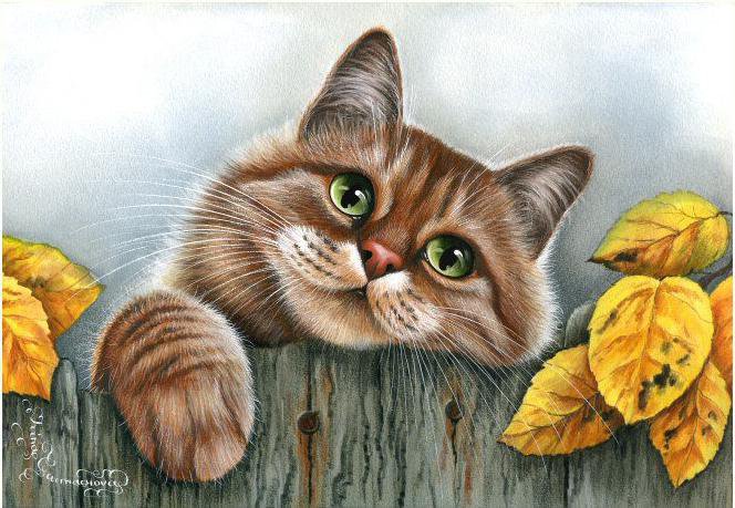 кошечка - животные, коты, картина - оригинал