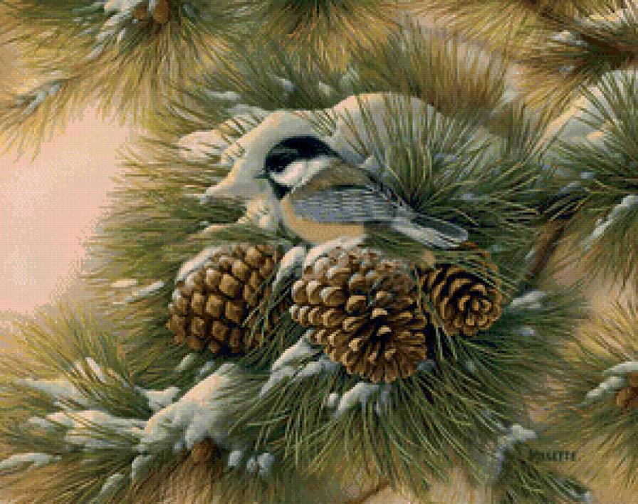 синичка на ветке - птицы, синичка, шишки - предпросмотр