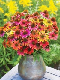 №765548 - оригинал