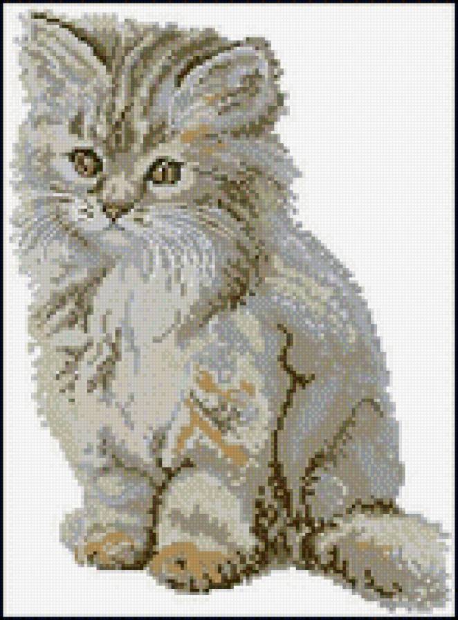 киса - предпросмотр