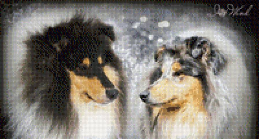 колляшки 2 - предпросмотр