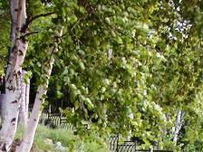 святой ключ верхняя часть