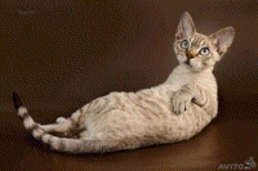 девон - предпросмотр