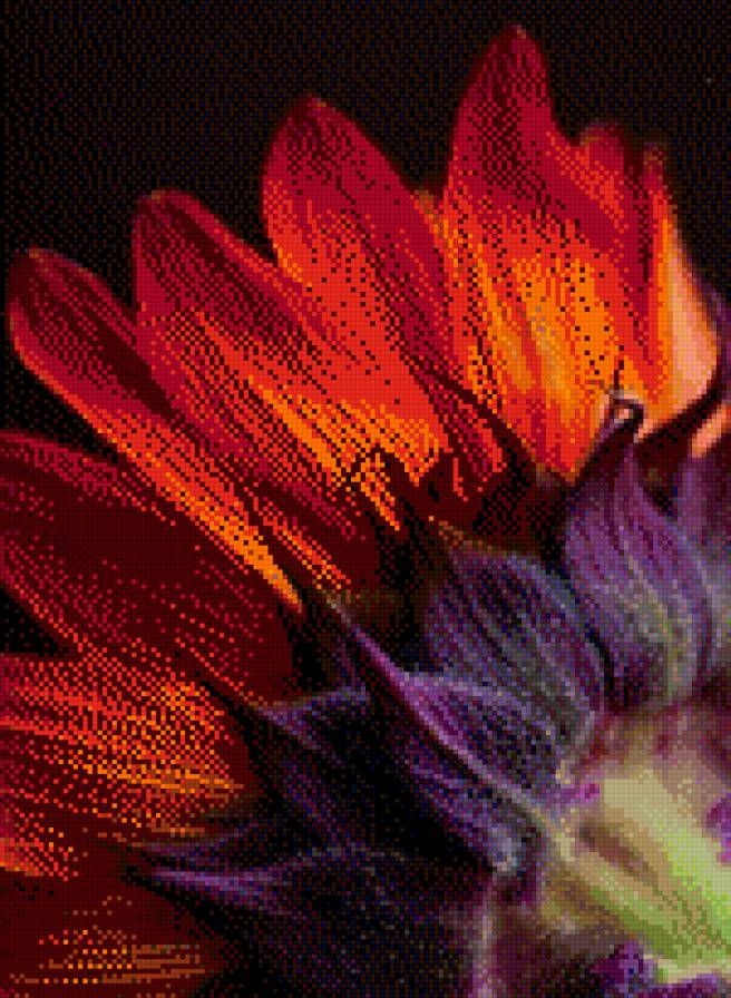 №767805 - красота, природа, цветы - предпросмотр