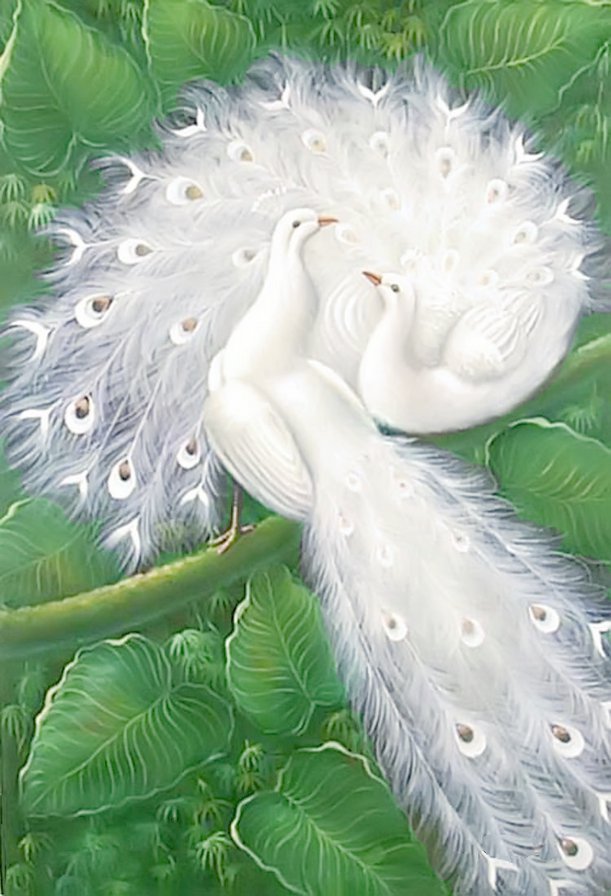 белые павлины 25 - оригинал