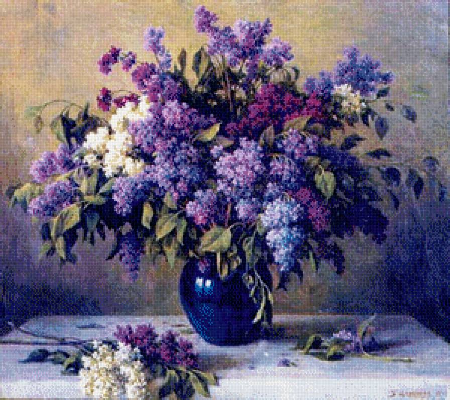 сирень - предпросмотр