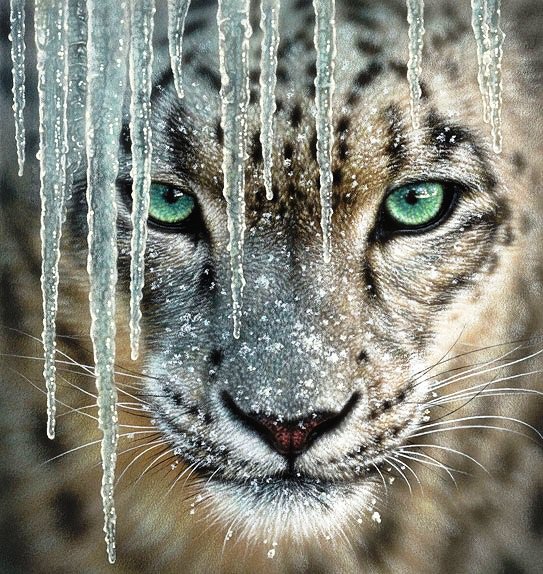 №768148 - оригинал