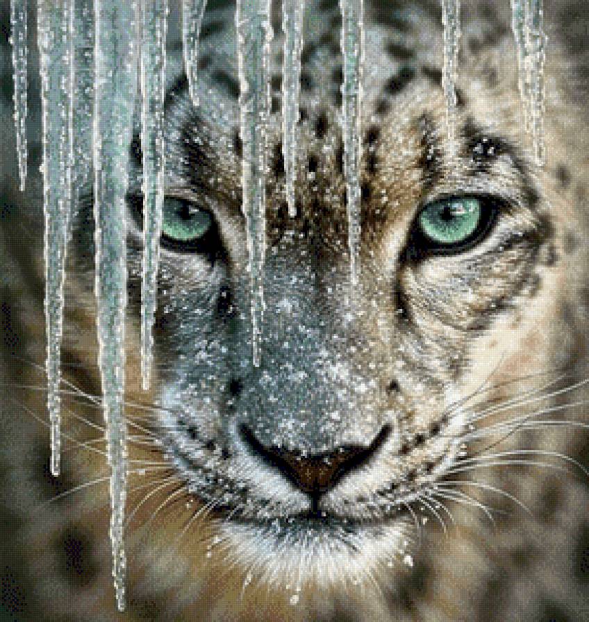 №768148 - предпросмотр