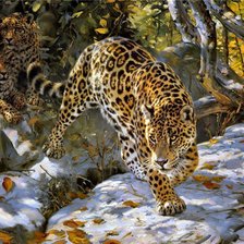 Схема вышивки «леопардовая семья»