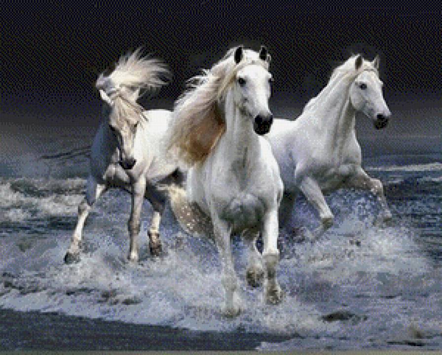 Лошади - животные, лошади - предпросмотр