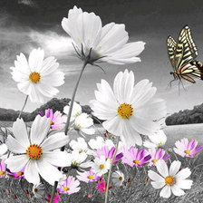 Схема вышивки «№768488»