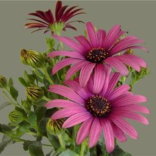 Схема вышивки «№768489»