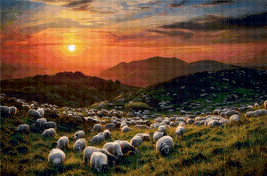 пастбище - природа овцы англия - предпросмотр