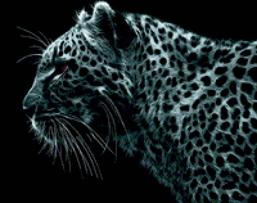 Барс - барс, леопард - предпросмотр