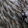 Предпросмотр схемы вышивки «Совы» (№768585)
