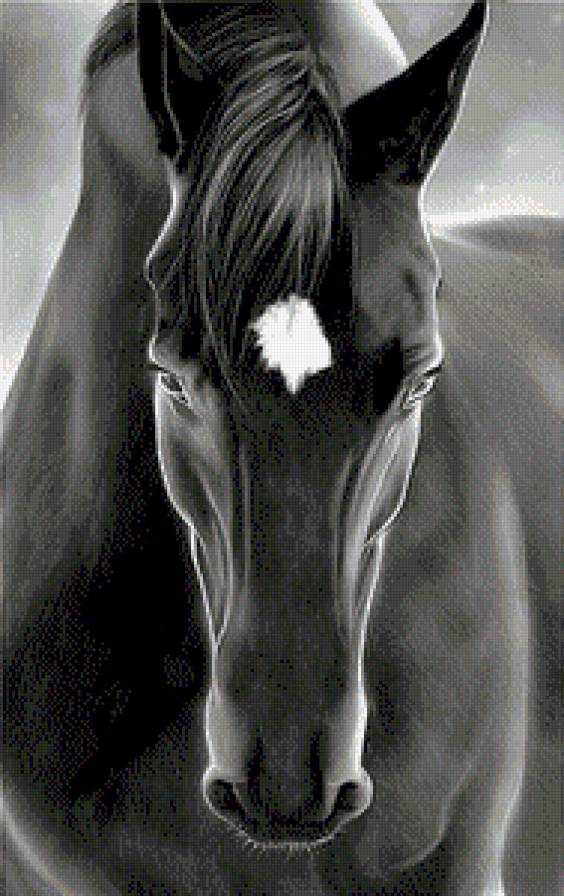 Портрет лошади 1 - лошади - предпросмотр