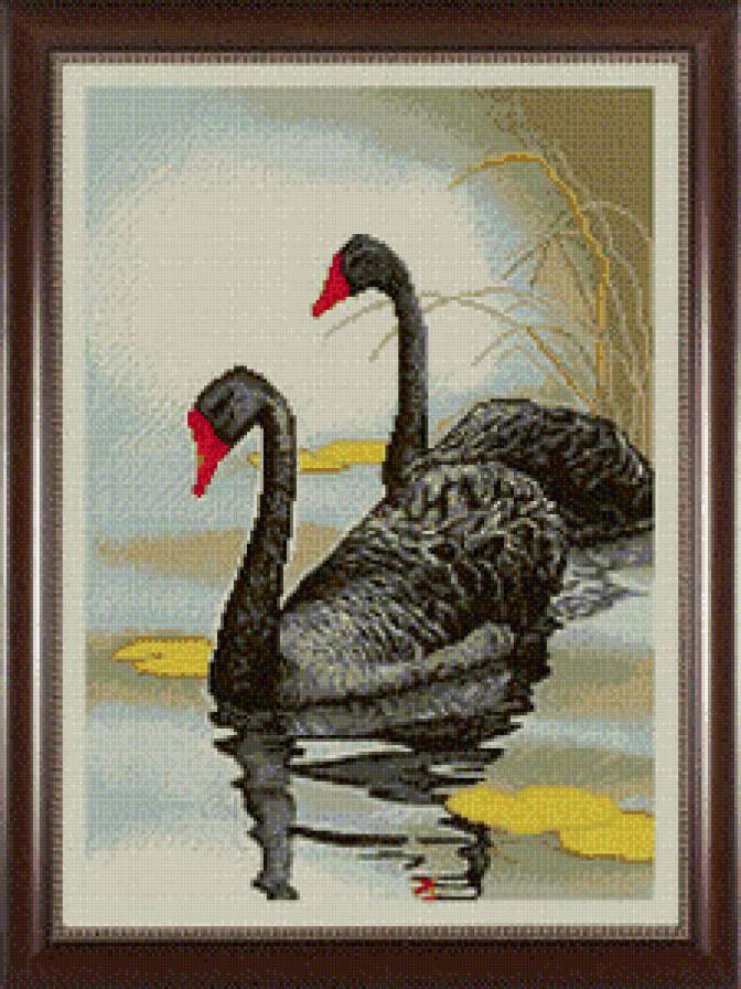 серия "птицы" - птицы.лебеди - предпросмотр