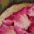 Предпросмотр схемы вышивки «розы для бисера» (№768750)