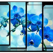 Схема вышивки «орхидея»