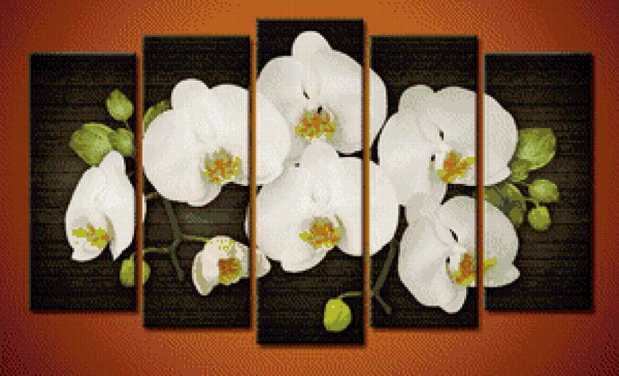 орхидея - предпросмотр