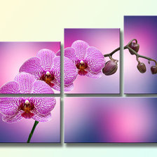 Схема вышивки «орхидея»