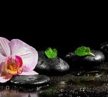 Схема вышивки «орхидея»