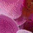 Предпросмотр схемы вышивки «орхидея» (№768855)