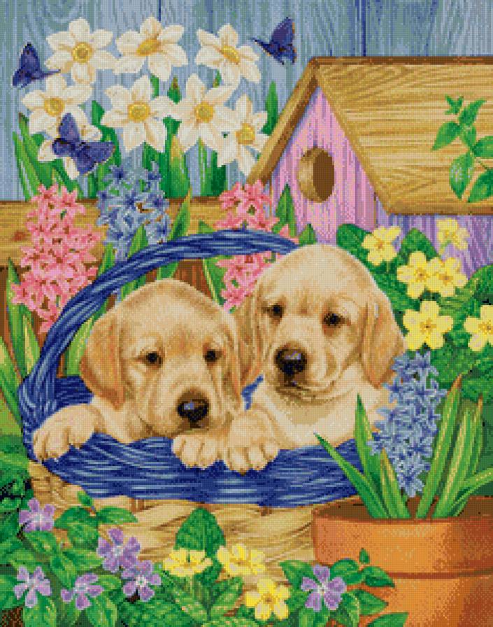 №768872 - предпросмотр