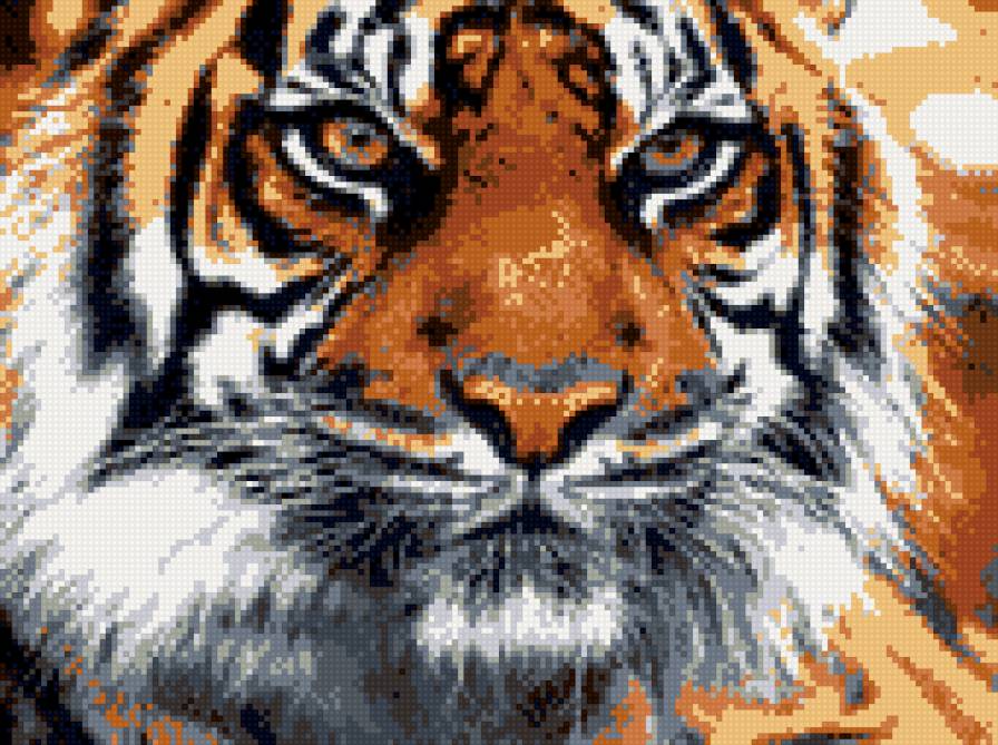 №768888 - предпросмотр