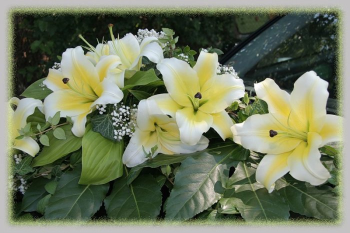 лилии - оригинал