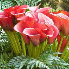 Схема вышивки «№768960»