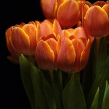 Схема вышивки «№768975»