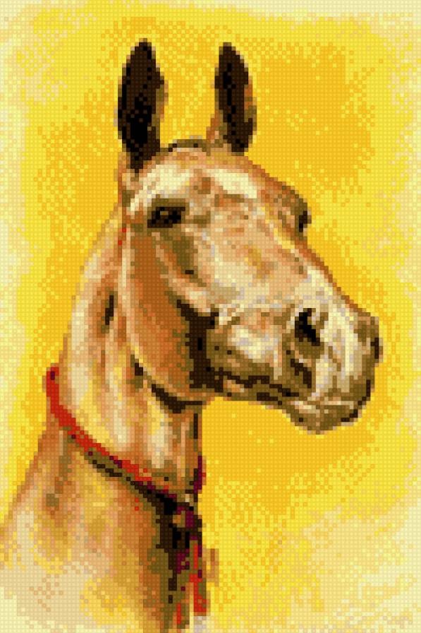 Ахалтекинец - животные, кони, лошади, ахалтекинец - предпросмотр