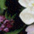 Предпросмотр схемы вышивки «букет» (№769266)