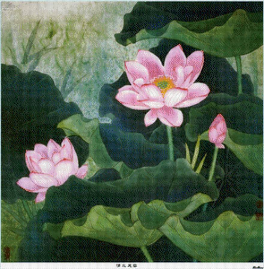 лотосы - предпросмотр