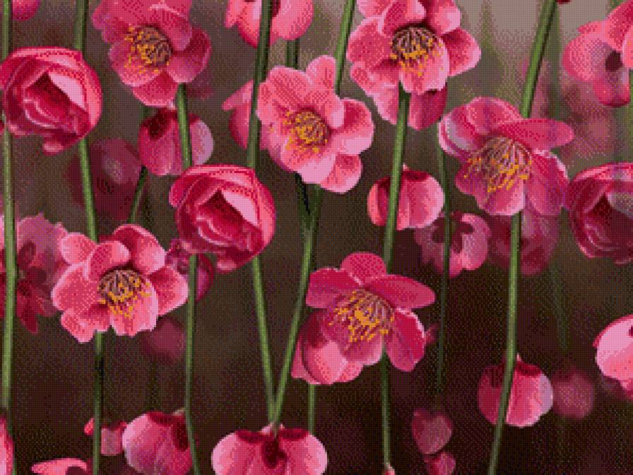 Цветочки - предпросмотр