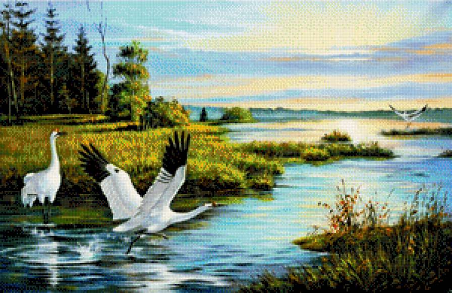 журавли - пейзаж, птицы - предпросмотр