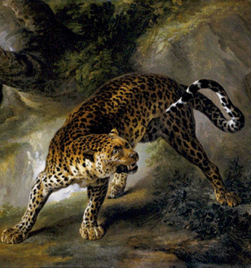 леопард - предпросмотр