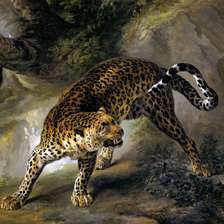 Оригинал схемы вышивки «леопард» (№769510)