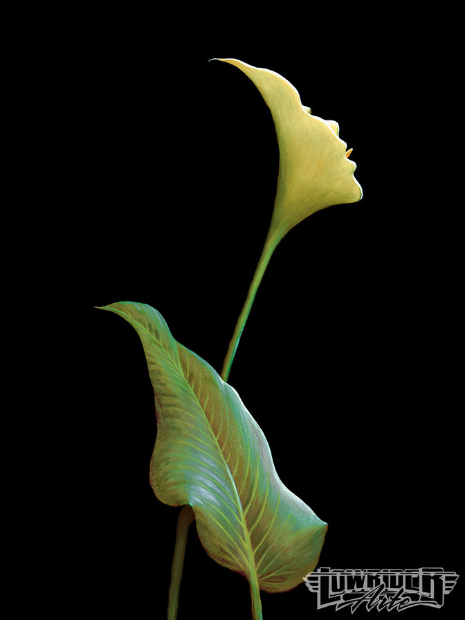 Иллюзия цветов 3 - букет, женщина, кала, цветы, иллюзия, растения, девушка, дева - оригинал